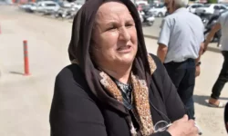 samadina muebbet istedi