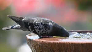 sicak hava edirne a 2255404 1