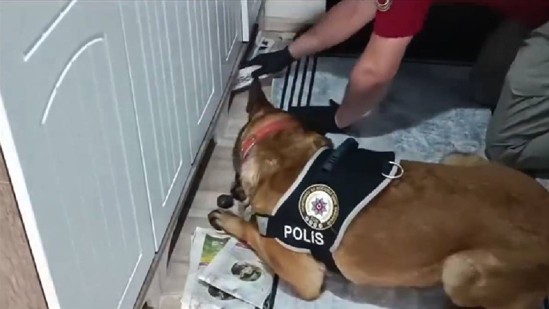 suc orgutune yonelik kuyu 10 operasyonu 1