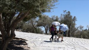 thumbs b c 06d2af4dd66edec1dec97bd290d749f4