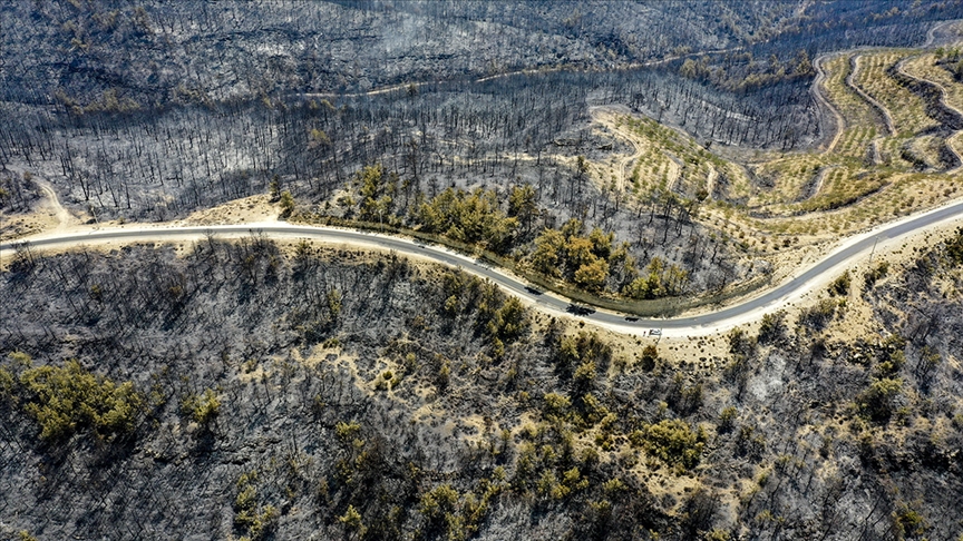 thumbs b c 0b2b211e1ab761fc140e005c705e5059