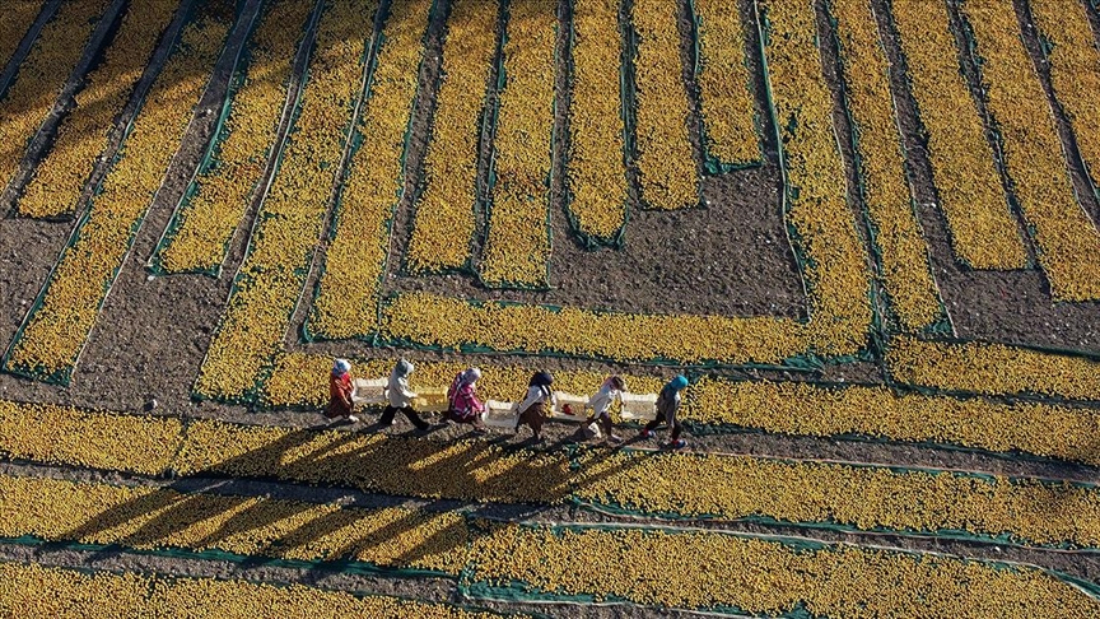 thumbs b c 32428b49ac50f8478494ee4aa651ddfb