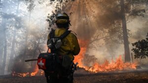 thumbs b c 39f4e13fc7edd61db8032a1ebb08745f