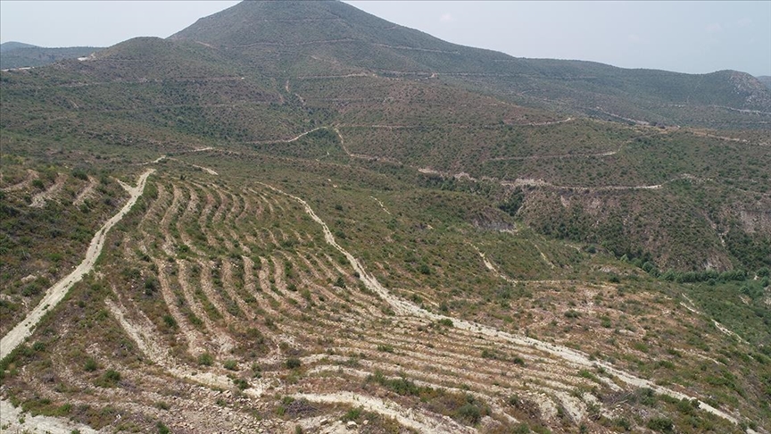 thumbs b c 4405ec8b8920f440abb60309032709b1