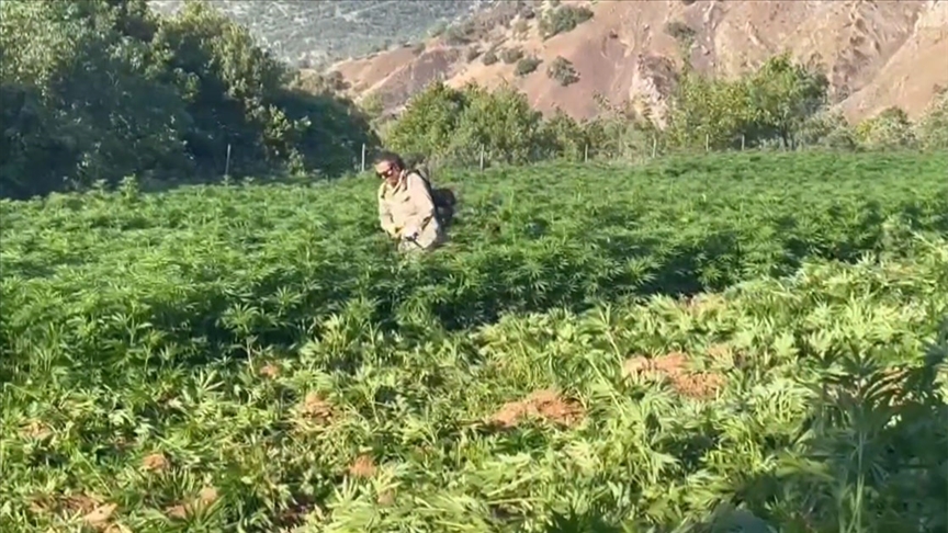 thumbs b c 4fbeb1db023a187bb47a1e45e22eef83