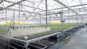 thumbs b c 5df12de224edf23584e01f2e32c12500