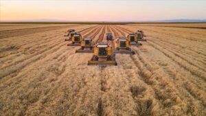 thumbs b c 60aaf030592a3489a28150149f742cf9 1