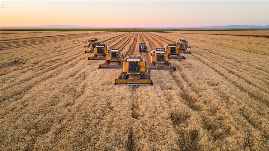 thumbs b c 60aaf030592a3489a28150149f742cf9 1