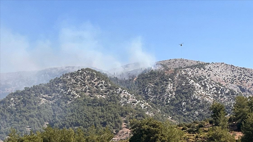 thumbs b c 64aa4188dc3d45e3bf11a0fef8eab51f