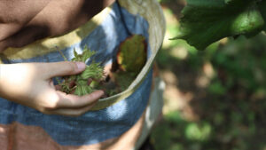 thumbs b c 6f5e4c75205b15ec2b8c6098f47c3a19