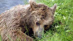 thumbs b c 782ed3e5d8bb64abadf0533ed5d79437