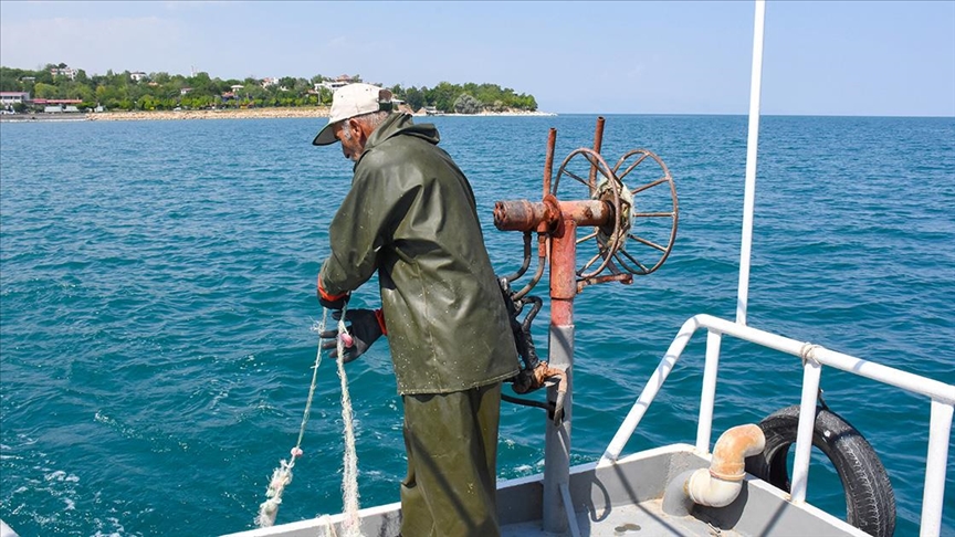 thumbs b c 88f2ae50707569541fcf1b14dbeba7a4