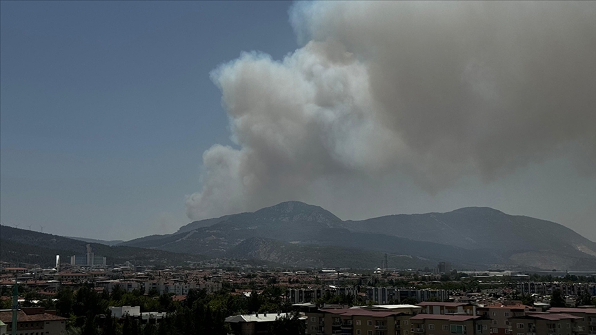 thumbs b c 890345007f4c27bca5cea5642aba0f34