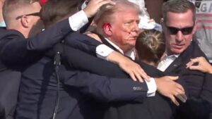 thumbs b c 8bf1b2d78e33d1e11a23fd7371f31bf4