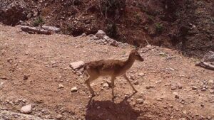 thumbs b c 9292078ddd53a9e97c75fb54432743b4