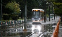 thumbs b c 9a71a0711026d5c889c0e7e5aab61146