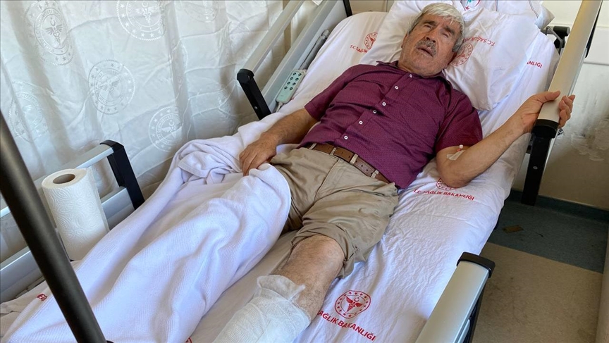 thumbs b c afd2693413f3aab3f7a08bb8bfdb5a38