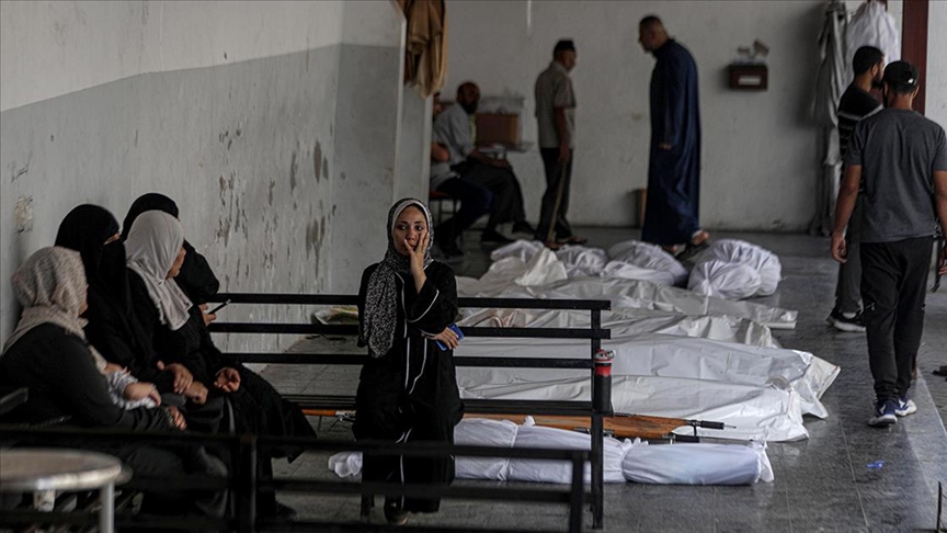 thumbs b c b3738c1946b07cb5dba9613cb8da0c2a