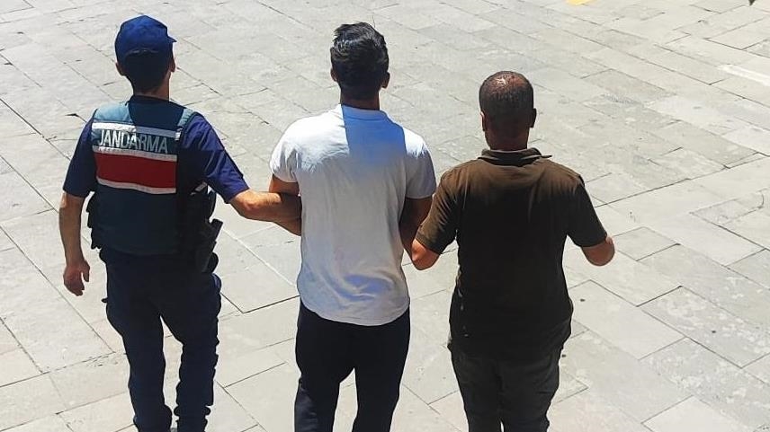 thumbs b c ba89374b577219d3a45ab71f868921d4