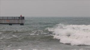 thumbs b c bcdd8945257801b22f27fcccd2e17aae