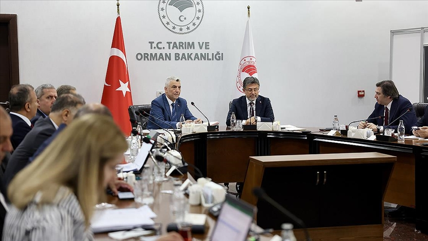 thumbs b c c4ab2747bff00cf06220db4c937d3fa1