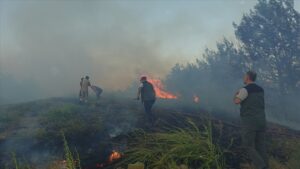 thumbs b c c6d8fd055ae44272606f5dbcb7113615