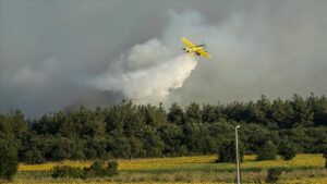 thumbs b c d577d9d3b8e033325076bc2d45e07586