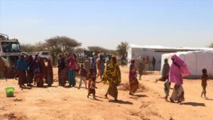 thumbs b c de1fe9e751130d2819a20fdeff193607