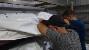 thumbs b c f4950bbffcb74e70393dda66acaa3b0f