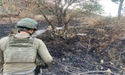 thumbs b c f70c0ddd10fdb24d6c13632e249be28b