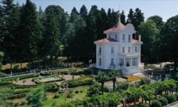 thumbs b c fa76304be2303b3a9225631166c5e4e5