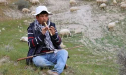 tudkiyeb genel baskani celik 150 bin coban ariyoruz hukumet yabanci coban istihdami planliyor itjq cover.png