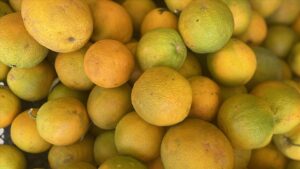 turkiyede yilin ilk yarisinda