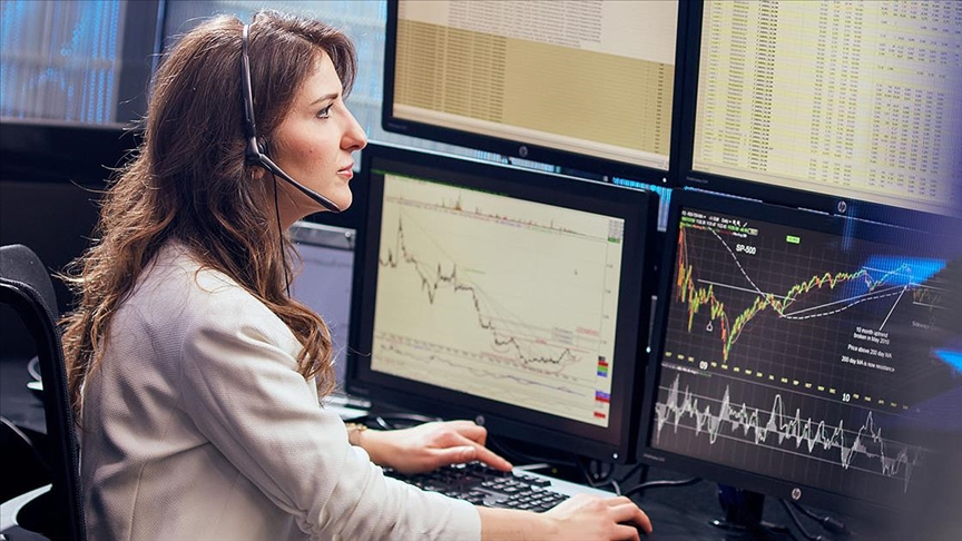 yerli yatirimcilarin pay senedi varliklari