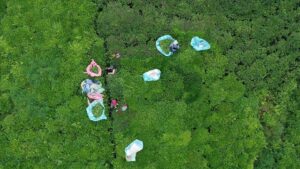 Dogu Karadenizden 7 ayda 933 milyon dolari askin ihracat yapildi