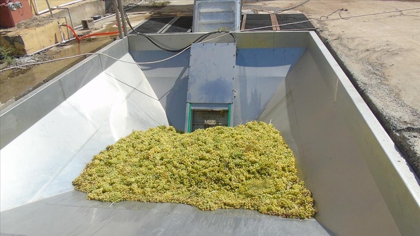 Islahiyede bir firma tescilli koruk eksisinin seri uretimine basladi