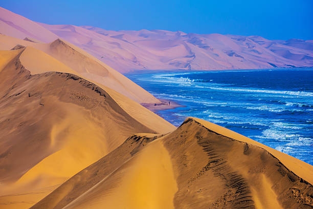 Namib Colu