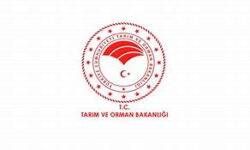 OIP 71
