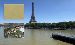 Sen Nehri ndeki kirlilik seviyesinin Olimpiyat organizatorlerinin acikladigindan daha yuksek oldugu iddia edildi