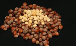 Trabzondan 7 ayda 4427 milyon dolarlik findik ihrac edildi