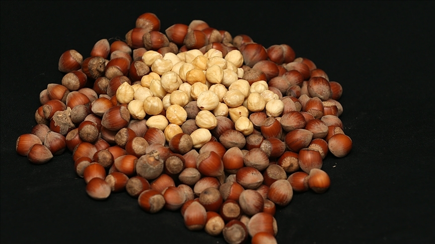 Trabzondan 7 ayda 4427 milyon dolarlik findik ihrac edildi