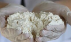 Turkiyenin un ihracati 7 ayda 777 milyon dolar oldu