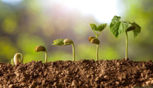 XdEPS 1594729190 6471