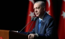 erdogan 59ij cover.jpg