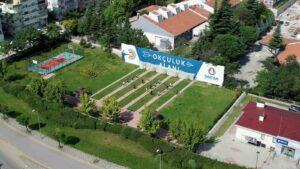 geleneksel okculuk kursu