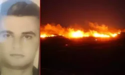 izmir de orman yangini