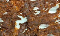 kilishi