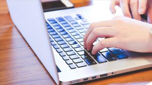 orman urunleri borkod