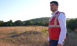 sokak hayvanlarina yeni rehabilitasyon merkezi