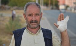 thumbs b c 027616f90ac7bd4bf04048279650fca7